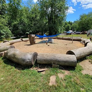 Animal Adventures MA 7/22 - Unsigned tortoises