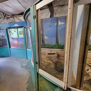 Animal Adventures MA 7/22 - Patagonian mara