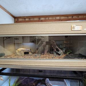 Animal Adventures MA 7/22 - Signed for sulcata tortoise, leopard gecko, uromastyx, "spiney tailed lizard"
