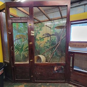 Animal Adventures MA 7/22 - Kinkajous