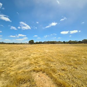 Indian Antelope and Mesopotamian Fallow Deer enclosure