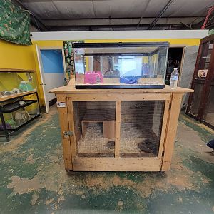 Animal Adventures MA 7/22 - Hedgehog, coati indoor cage