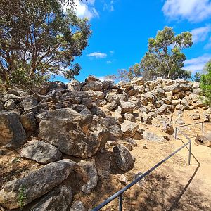 Walkthrough Rock Wallaby Exhibit