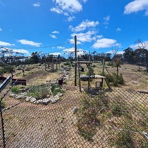 Chimpanzee Exhibit Outdoors