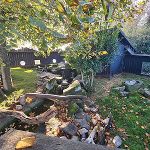Asian small-clawed otter enclosure