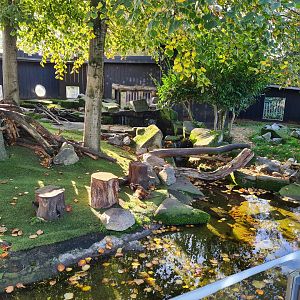 Asian small-clawed otter enclosure