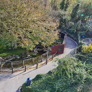 Otter enclosure - Top view