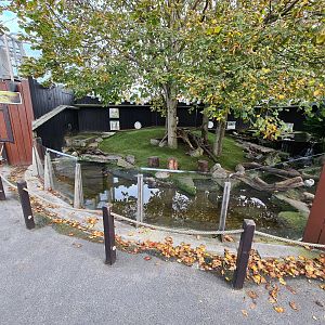 Otter enclosure - Top view