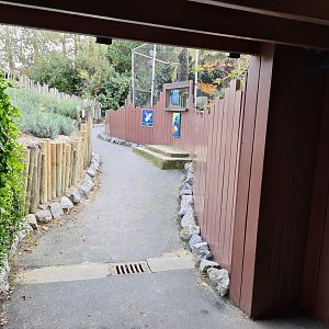 Path next to penguin enclosure