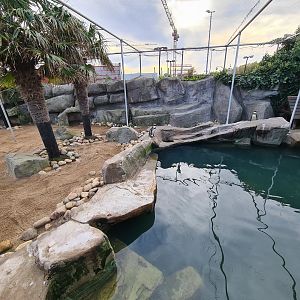 Humboldt penguin enclosure