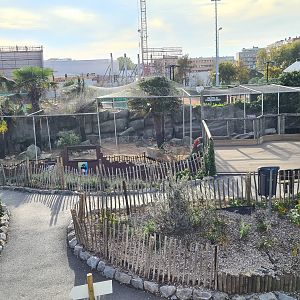 Penguin enclosure - Top view
