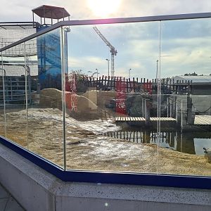 Sea lion enclosure