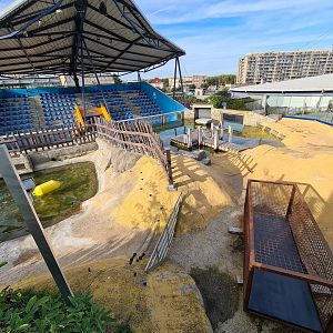 Seal and Sea lion enclosures
