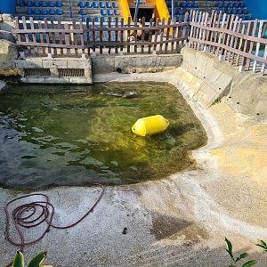 Seal enclosure