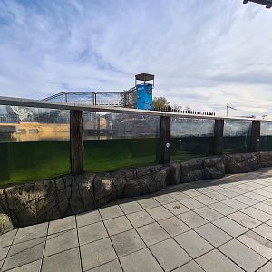 Sea lion enclosure - Main windows