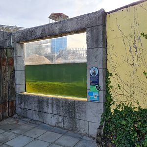 Sea lion enclosure - Side window