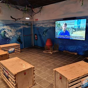 Educational video playing in seal education room