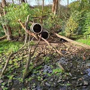 Raccoon and skunk enclosure - Sleeping barrels
