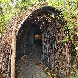 Corridor to beaver indoor viewing