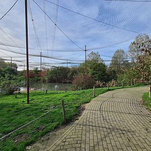 Walkway to the back of Giant aviary (Vogelrijk (Realm of birds))