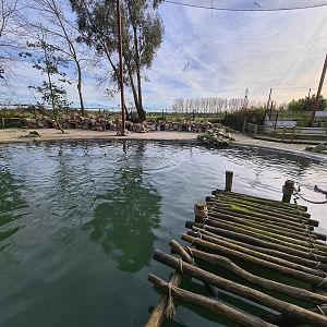Humboldt penguin area in Vogelrijk (Realm of birds)