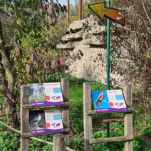 Signage and Bald ibis area in Vogelrijk (Realm of birds)