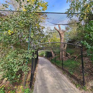 Eurasian eagle owl tunnel aviary
