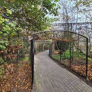 Snowy owl tunnel aviary