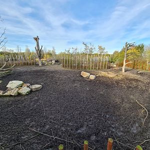First Indian Rhinoceros enclosure
