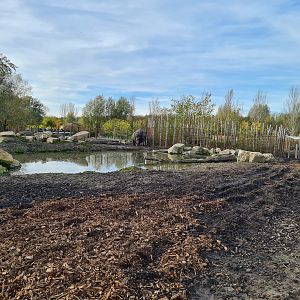 First Indian Rhinoceros enclosure