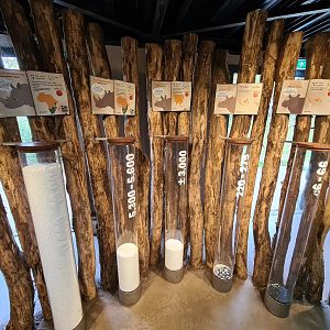 Rhino stables - interesting display on wild rhino numbers