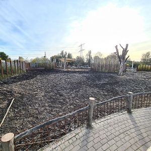 Second Indian Rhinoceros enclosure