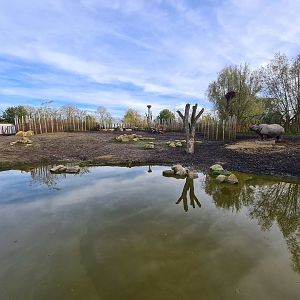 Second Indian Rhinoceros enclosure