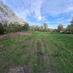 Eurasian grey wolf enclosure
