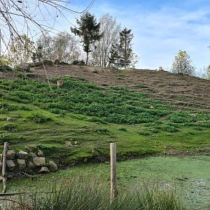 Alpine ibex enclosure - Hilly side