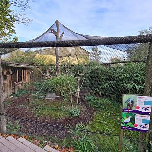 Asian aviary next to Elephant stables