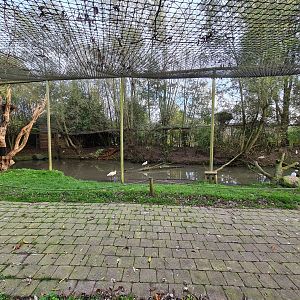 View into Second aviary