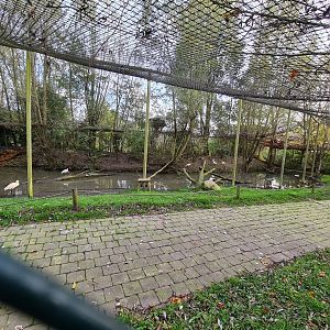 View into second aviary