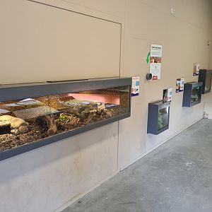Smaller terrariums in reptile house