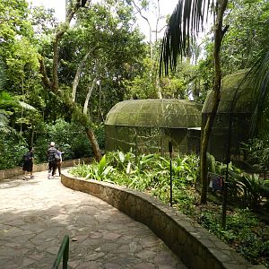 Birds of Africa trail - Zoo São Paulo