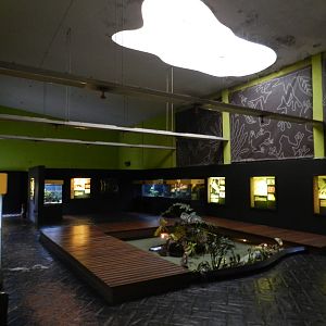 Amphibian house - Zoo São Paulo