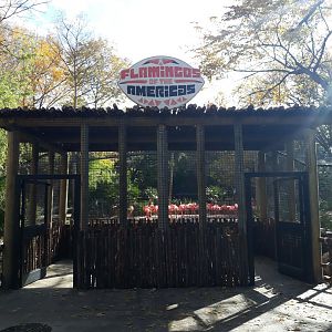 Flamingo Bay reopened
