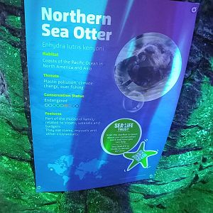 Sea otter signage