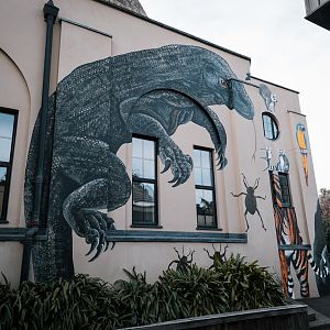 Komodo Dragon mural
