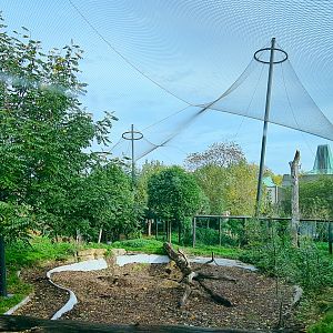 One of the Tiger enclosures