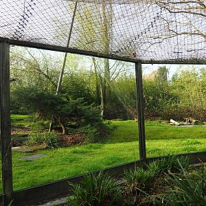 Snow leopard exhibit, 2022-04-12