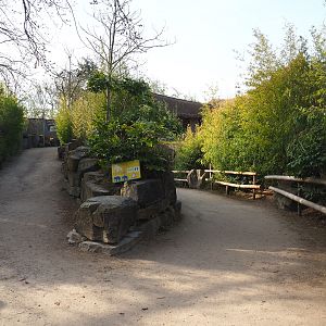 Walkways to Asian elephant viewing areas, 2022-04-12