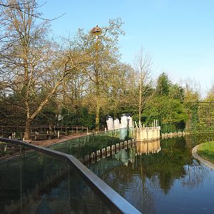 Asiatic lion exhibit moat and Walkway alongside Asiatic lion exhibit, 2022-04-12
