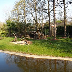 Asiatic lion exhibit, 2022-04-12