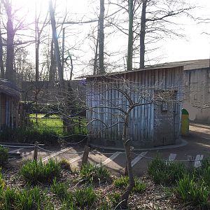 Asian mixed aviary bird barns, 2022-04-12